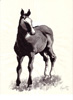 Cavallo